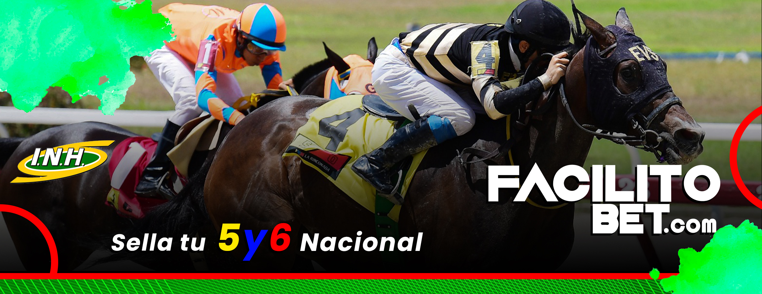 2025-02/banner-hipismo.jpg